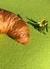 Buttercroissant