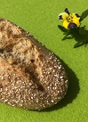BIO-Dinkel "Erwin"