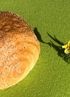 Dänisches Mohn hell
