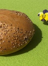 Sesambrötchen